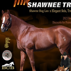 MR Shawnee Tres