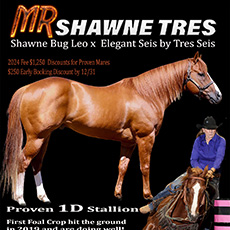 MR Shawnee Tres
